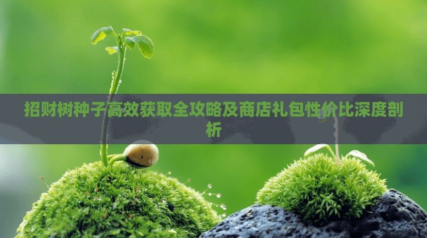 招财树种子高效获取全攻略及商店礼包性价比深度剖析