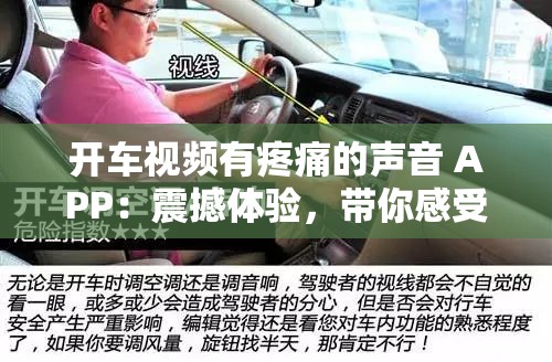 开车视频有疼痛的声音 APP：震撼体验，带你感受别样刺激