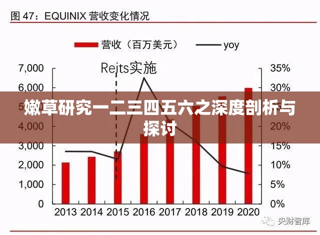 嫩草研究一二三四五六之深度剖析与探讨