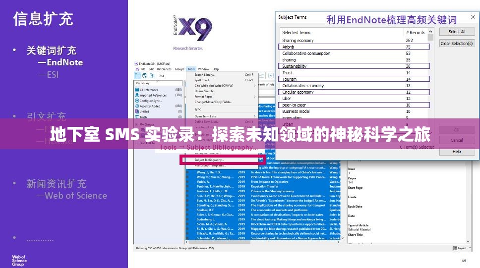 地下室 SMS 实验录：探索未知领域的神秘科学之旅