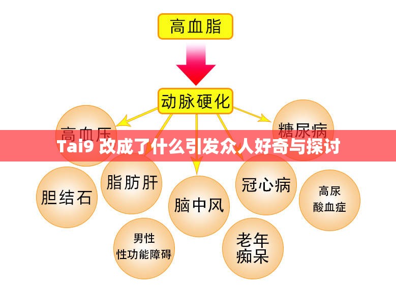 Tai9 改成了什么引发众人好奇与探讨