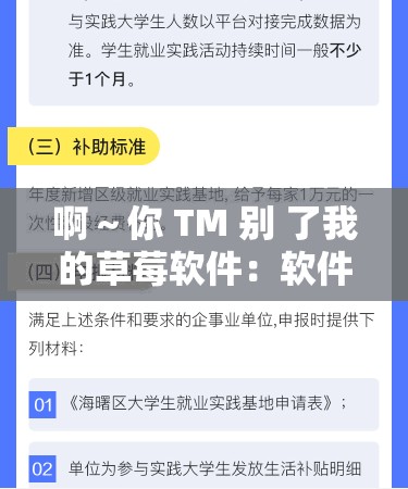 啊～你 TM 别 了我的草莓软件：软件使用需谨慎