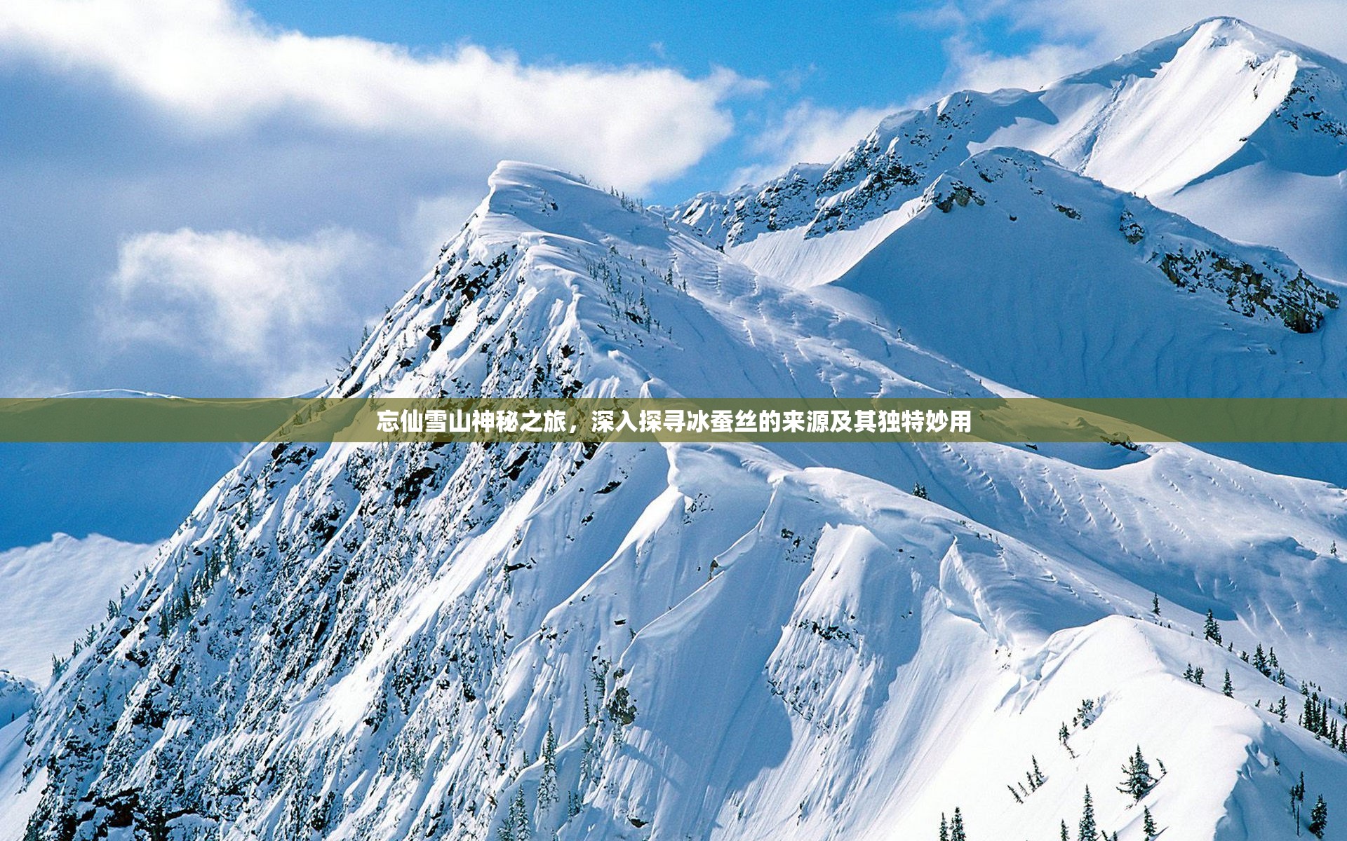 忘仙雪山神秘之旅，深入探寻冰蚕丝的来源及其独特妙用