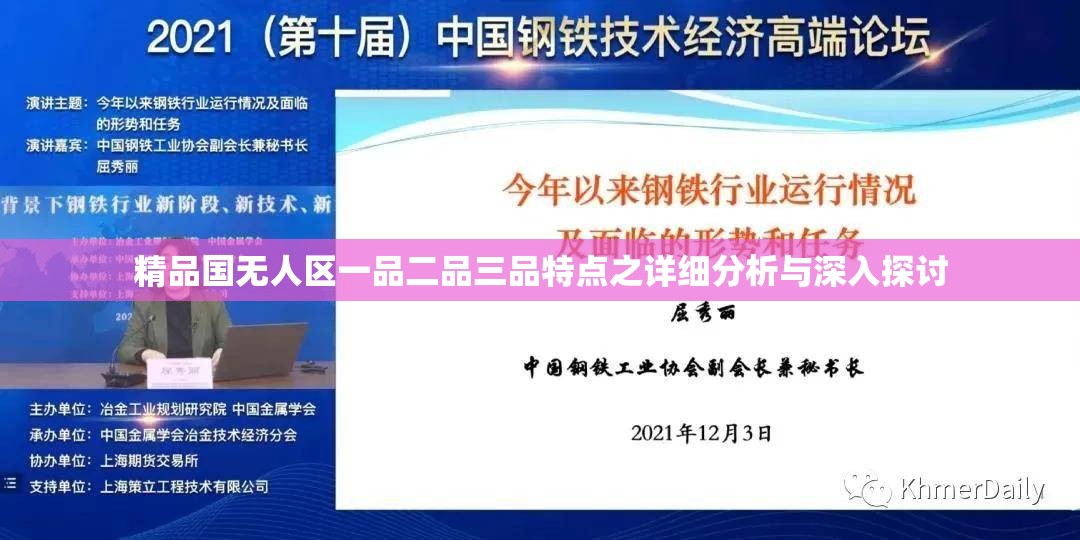 精品国无人区一品二品三品特点之详细分析与深入探讨