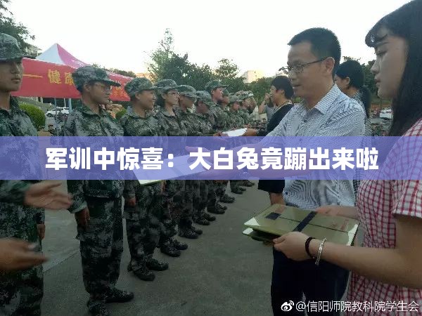 军训中惊喜：大白兔竟蹦出来啦