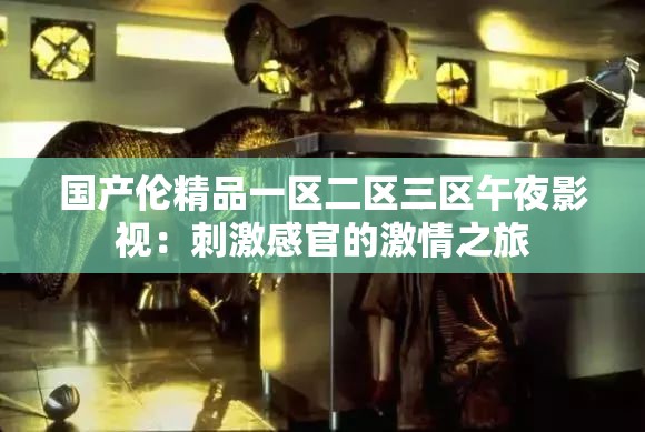 国产伦精品一区二区三区午夜影视：刺激感官的激情之旅