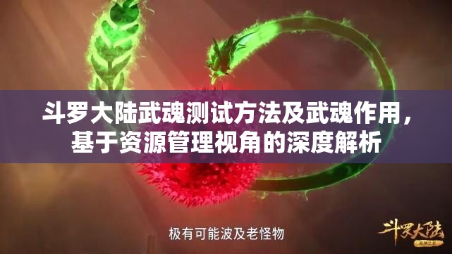 斗罗大陆武魂测试方法及武魂作用，基于资源管理视角的深度解析