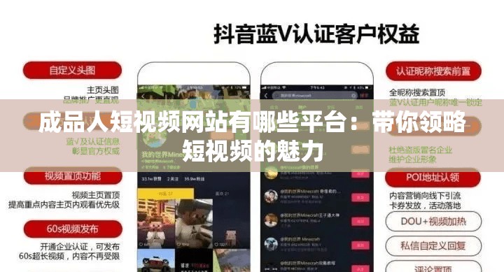 成品人短视频网站有哪些平台：带你领略短视频的魅力