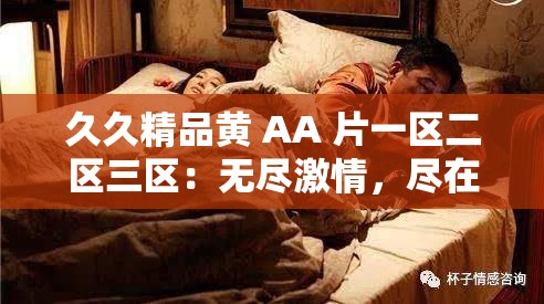 久久精品黄 AA 片一区二区三区：无尽激情，尽在这里