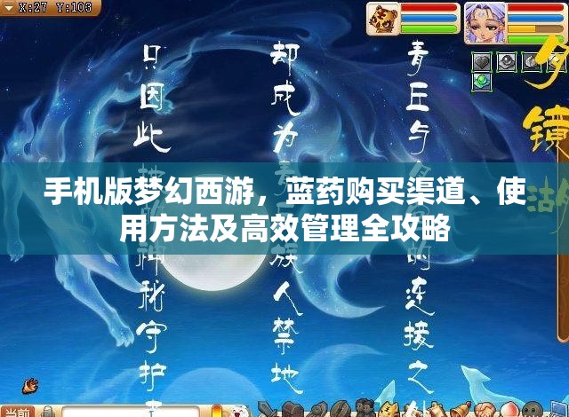 手机版梦幻西游，蓝药购买渠道、使用方法及高效管理全攻略