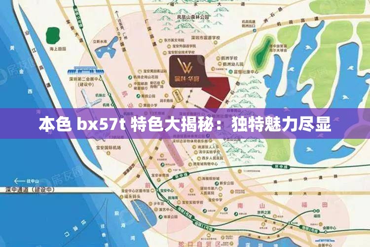 本色 bx57t 特色大揭秘：独特魅力尽显