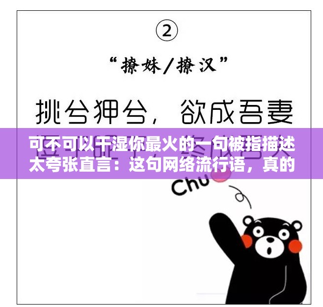 可不可以干湿你最火的一句被指描述太夸张直言：这句网络流行语，真的有那么夸张吗？