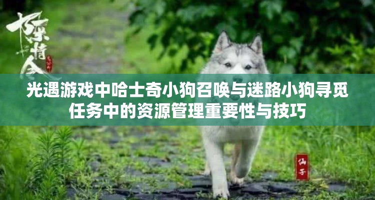 光遇游戏中哈士奇小狗召唤与迷路小狗寻觅任务中的资源管理重要性与技巧
