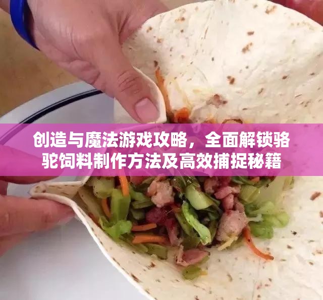 创造与魔法游戏攻略，全面解锁骆驼饲料制作方法及高效捕捉秘籍