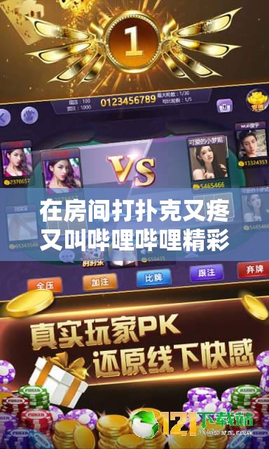 在房间打扑克又疼又叫哔哩哔哩精彩内容呈现