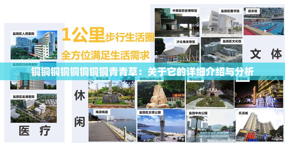 铜铜铜铜铜铜铜铜青青草：关于它的详细介绍与分析