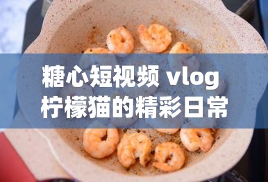 糖心短视频 vlog 柠檬猫的精彩日常分享