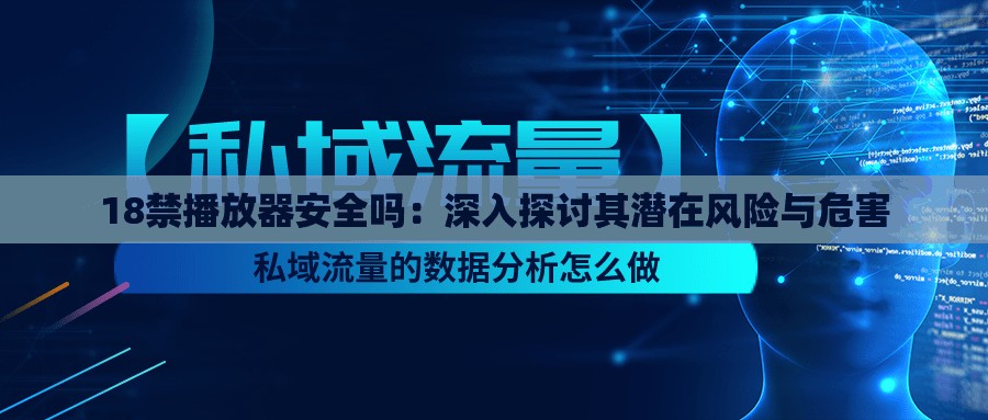 18禁播放器安全吗：深入探讨其潜在风险与危害