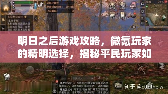 明日之后游戏攻略，微氪玩家的精明选择，揭秘平民玩家如何闪耀光芒