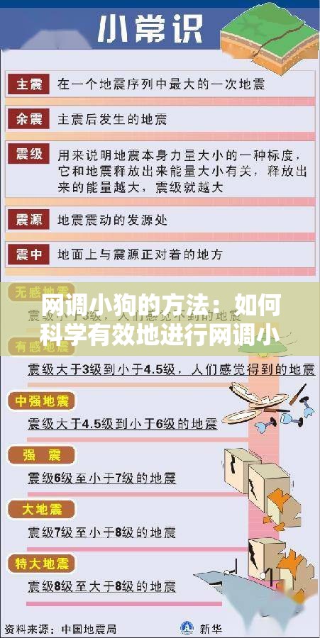 网调小狗的方法：如何科学有效地进行网调小狗训练