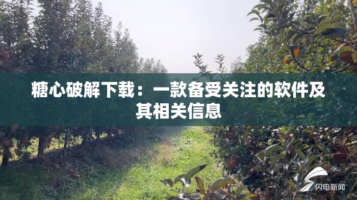 糖心破解下载：一款备受关注的软件及其相关信息