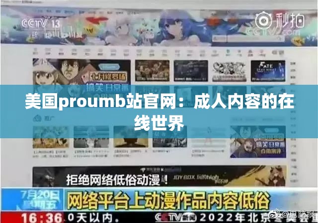 美国proumb站官网：成人内容的在线世界