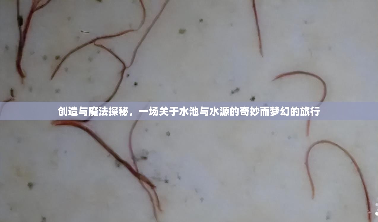 创造与魔法探秘，一场关于水池与水源的奇妙而梦幻的旅行