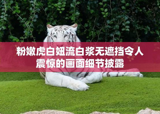 粉嫩虎白妞流白浆无遮挡令人震惊的画面细节披露