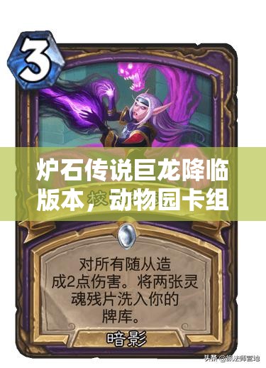 炉石传说巨龙降临版本，动物园卡组迎来前所未有的狂欢盛宴