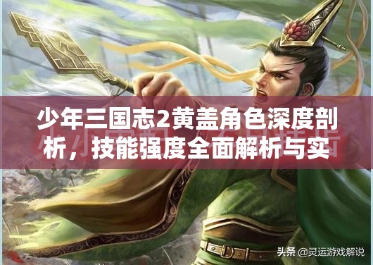 少年三国志2黄盖角色深度剖析，技能强度全面解析与实战玩法指南