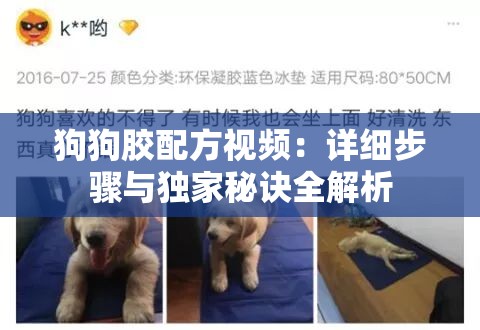 狗狗胶配方视频：详细步骤与独家秘诀全解析