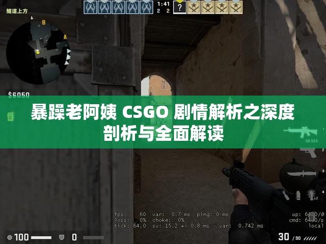 暴躁老阿姨 CSGO 剧情解析之深度剖析与全面解读