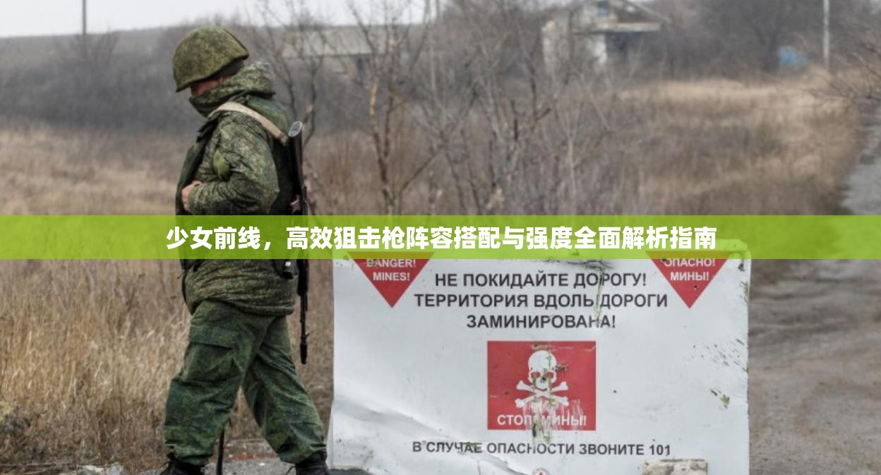 少女前线，高效狙击枪阵容搭配与强度全面解析指南