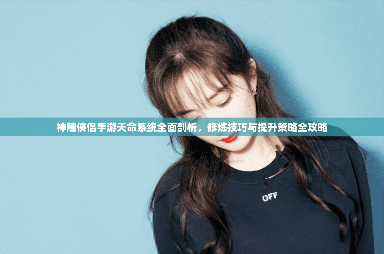神雕侠侣手游天命系统全面剖析，修炼技巧与提升策略全攻略