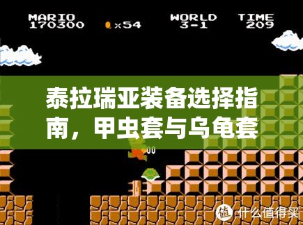 泰拉瑞亚装备选择指南，甲虫套与乌龟套之争，全面解析甲虫套属性助你决策