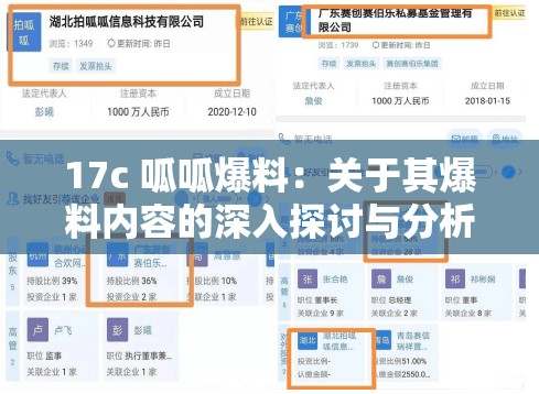 17c 呱呱爆料：关于其爆料内容的深入探讨与分析