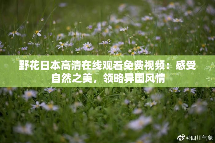 野花日本高清在线观看免费视频：感受自然之美，领略异国风情