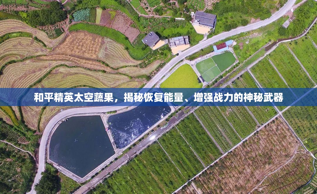 和平精英太空蔬果，揭秘恢复能量、增强战力的神秘武器