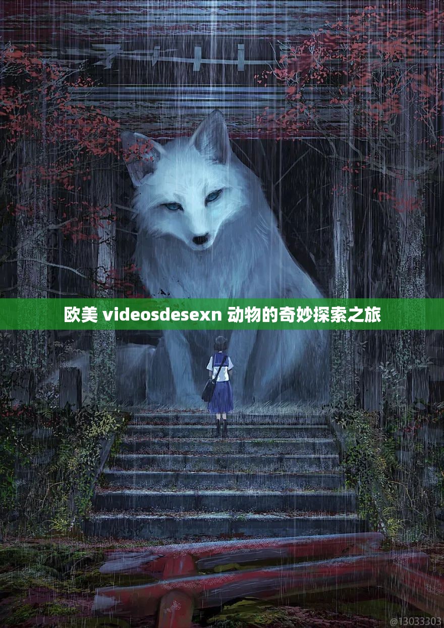 欧美 videosdesexn 动物的奇妙探索之旅