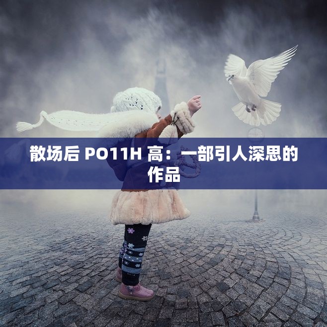 散场后 PO11H 高：一部引人深思的作品