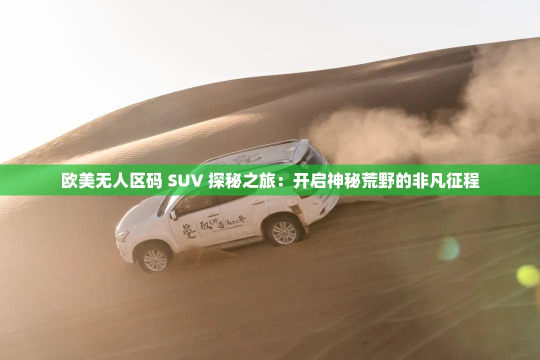 欧美无人区码 SUV 探秘之旅：开启神秘荒野的非凡征程