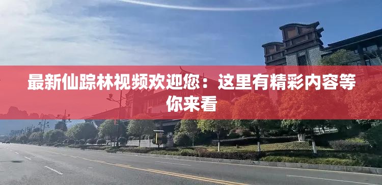 最新仙踪林视频欢迎您：这里有精彩内容等你来看