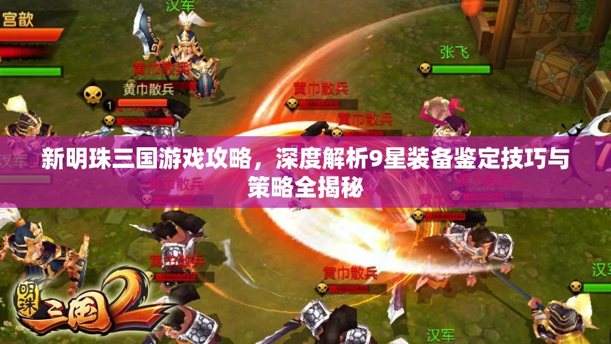 新明珠三国游戏攻略，深度解析9星装备鉴定技巧与策略全揭秘