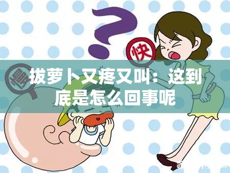 拔萝卜又疼又叫：这到底是怎么回事呢