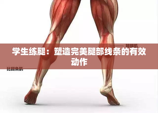 学生练腿：塑造完美腿部线条的有效动作