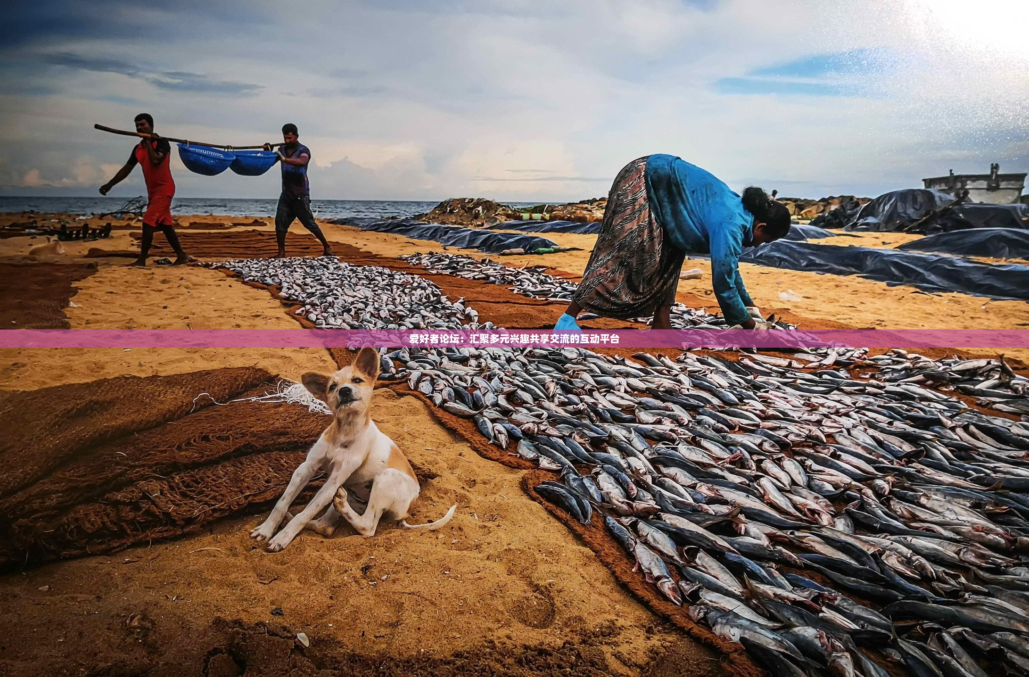 爱好者论坛：汇聚多元兴趣共享交流的互动平台