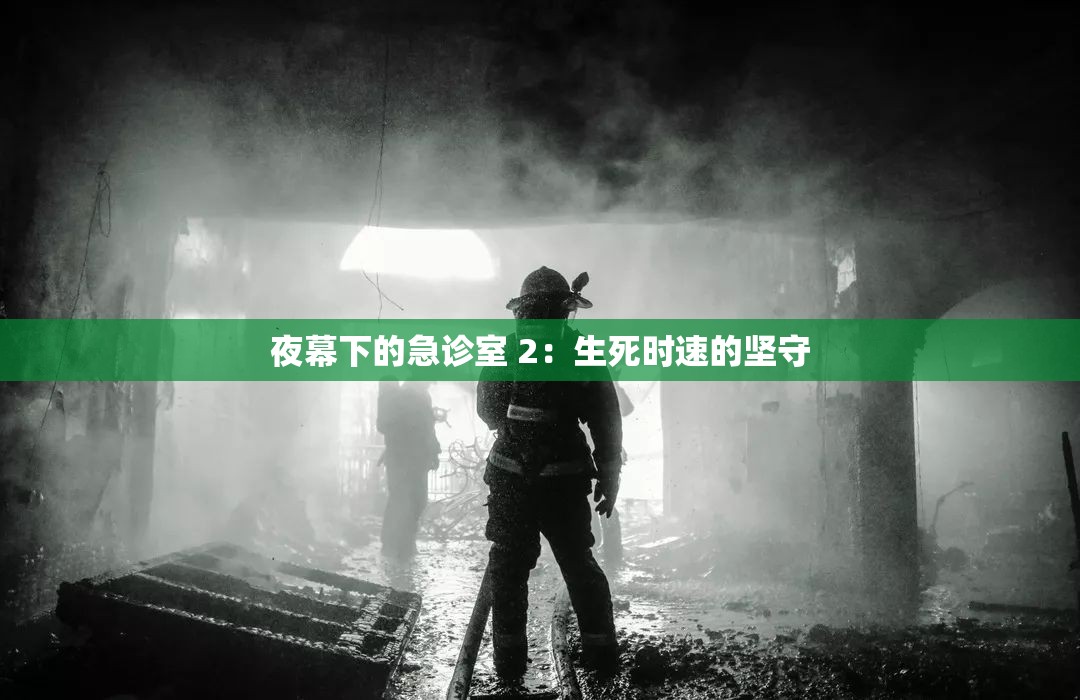 夜幕下的急诊室 2：生死时速的坚守