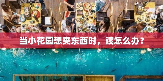 当小花园想夹东西时，该怎么办？