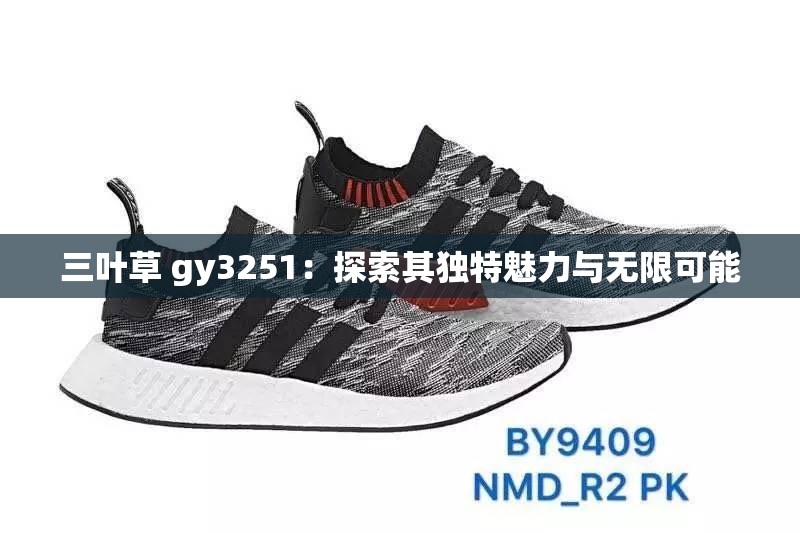 三叶草 gy3251：探索其独特魅力与无限可能