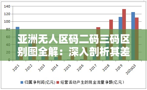 亚洲无人区码二码三码区别图全解：深入剖析其差异奥秘